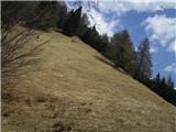 Planina Stamare z Jesenic prek Alničja Alničje -pogled na Debelo Brdo